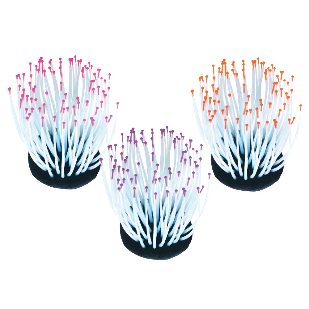 wave Fluo Reef Anemone, 7.2 X 7.2 X 9 cm, Mixed Colour