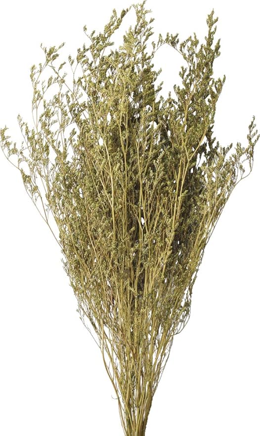 Amazon パセオ ドライフラワー グメリニー グリーン 60cm Natural Dry Xj 03gr ドライフラワー オンライン通販