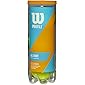 Wilson Prime All Court Tennis Balls