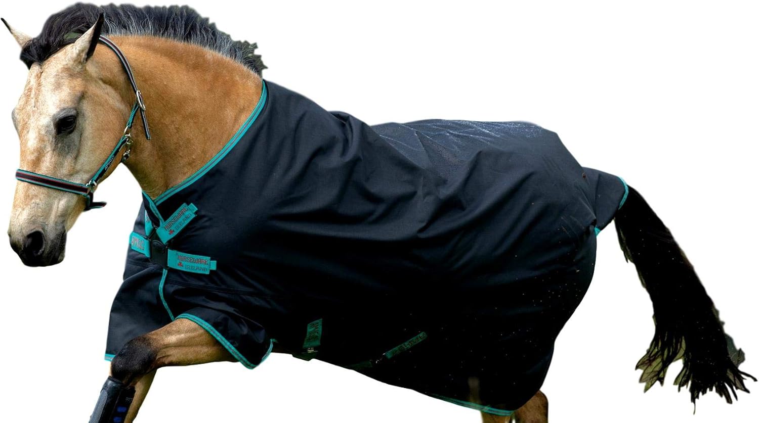 Horseware Amigo Hero 900 Lite Disc 0g Black/Teal & Dark Cherry