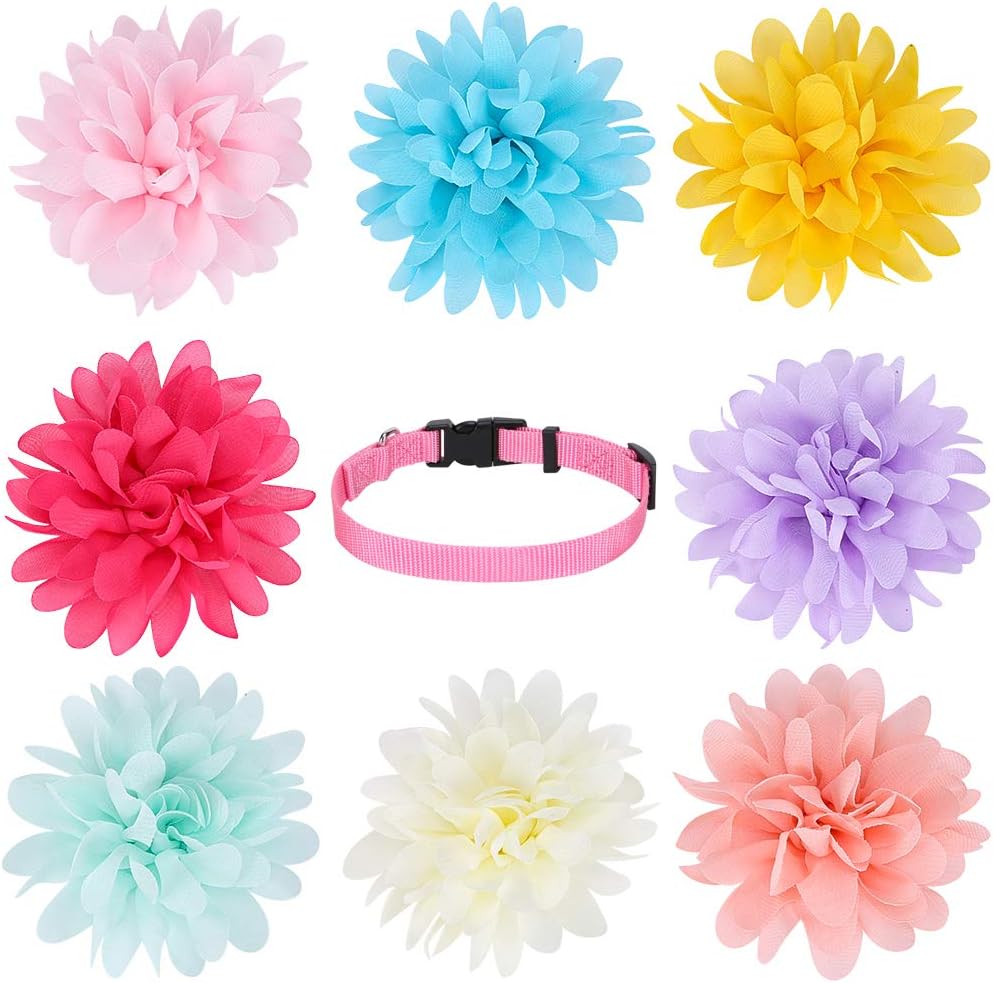 KOOLTAIL Dog Collar Flowers Accessory, 8 Pack with a Basic Collar - Pet Charms Flower Slides Attachment Decoration for Dogs & Cats : Pet Supplies