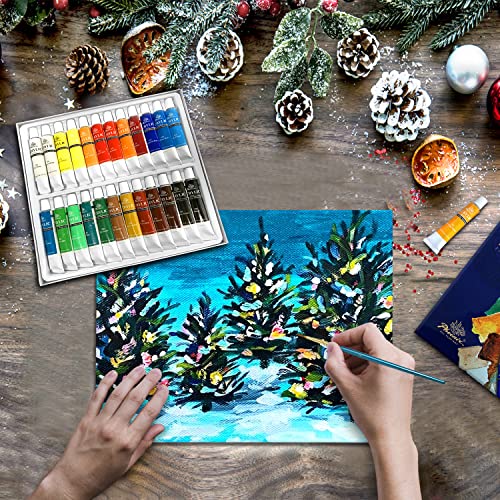 PHOENIX Artist's Acrylic Colour Paint Set 24 Colors 12ml/0.4 Fl Oz