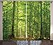 Ambesonne Woodland Curtains, Deciduous Forest Trees in Summertime Foliage Sun Rays Romantic Holidays Scenic Image, Living Room Bedroom Window Drapes 2 Panel Set, 108 X 84, Green Yellow