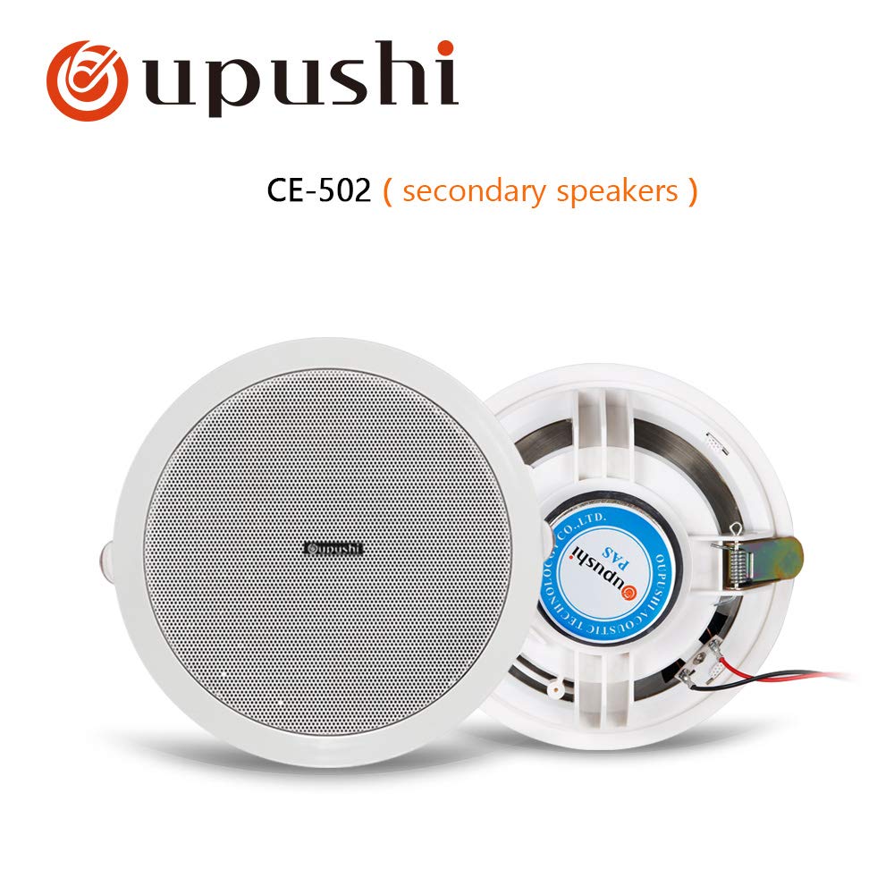 Generic Oupushi Wifi Ceiling Speaker 20 60w Built In Speakers Home