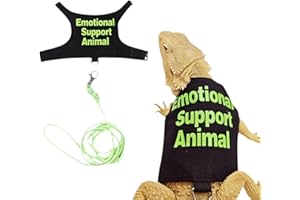 COPFEU Bearded Dragon Lizards Clothes with Leash Set for Small Pets Reptiles Guinea Pig Apparel Lizards Outdoor Walking Training Harness Leash Hand-Made Costume Photo Prop (Green)