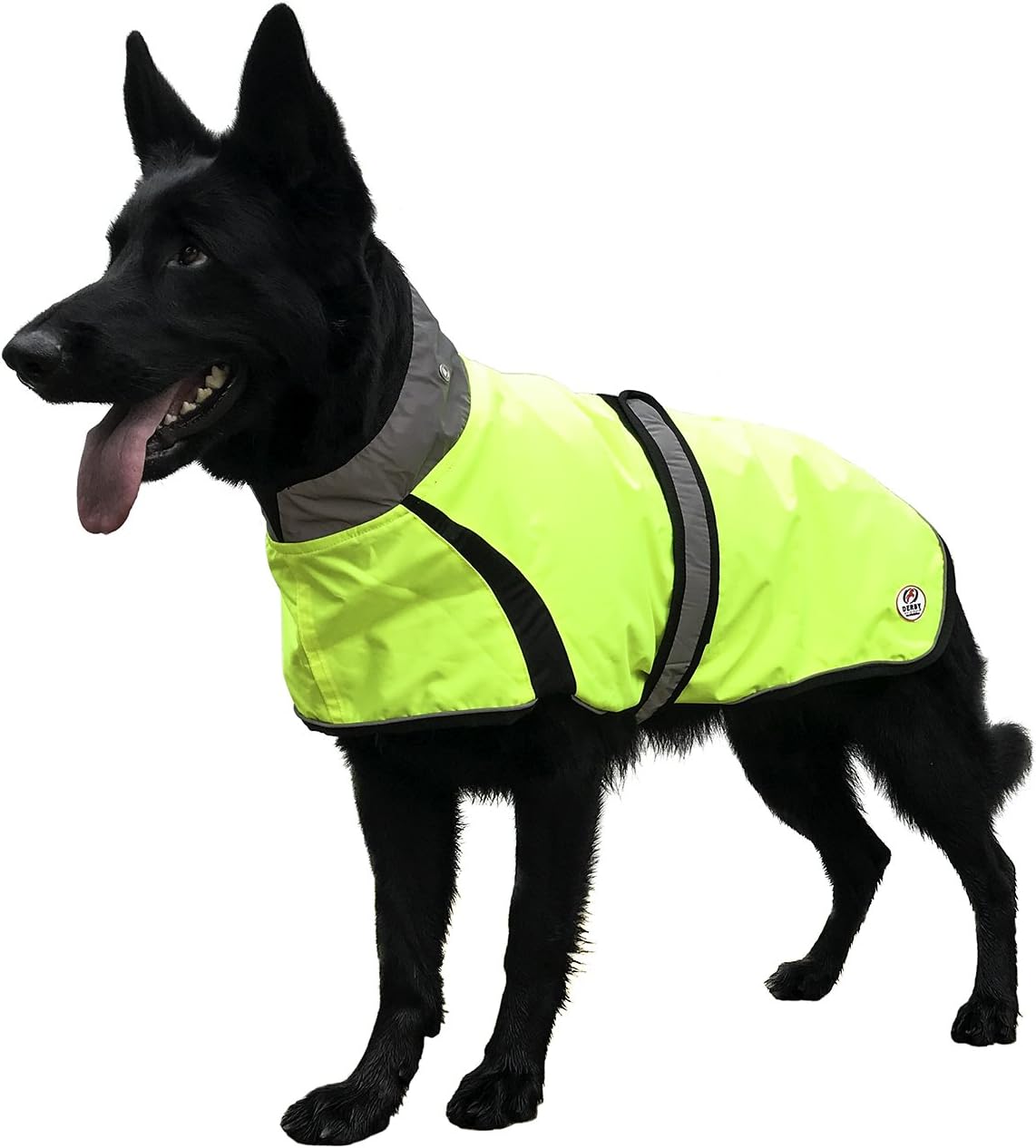 french bulldog compared to boston terrier