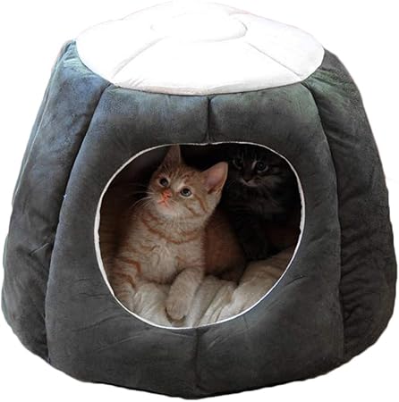 large dog tent bed