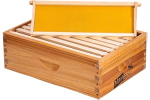 MAYBEE 8-Frame Beehive Box Langstroth Medium Super Bee Box for Sale Wax Coated Bee Hives Includes Wooden Frames & Waxed Foundations