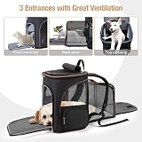 Lekesky Expandable Cat Carrier Backpack Portable Pet Carrier 20 lbs Black view 3