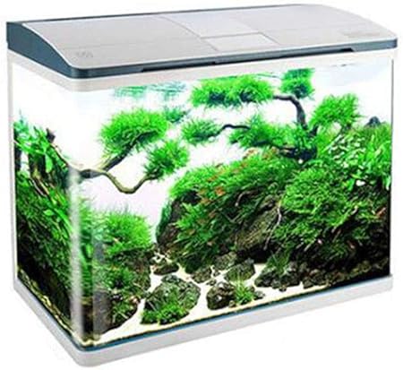 Aquarium Haushalt Grossen Aquarium Free Wasserwechsel Wohnzimmer Aquarium Glas Mittelgrosse Haushaltsfilter Aquarium Fur Den Ozean Oder Tropische Aquarium Wohnzimmer Ist Ein Gutes Geschenk Amazon De Kuche Haushalt