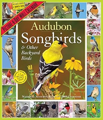 Audubon Songbirds And Other Backyard Birds Picture A Day Calendar