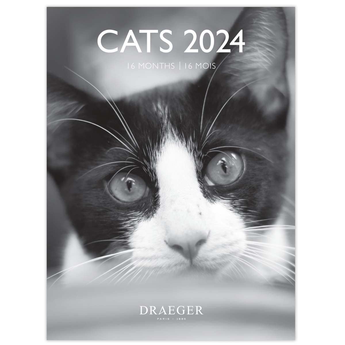 DRAEGER PARIS Small Black and White Cat Wall Calendar 2024 Hanging 14 x 18 cm 16 Months September 23 to Dec 24 7 Languages Office Kitchen Home Monthly Calendar FSC® Certified Paper