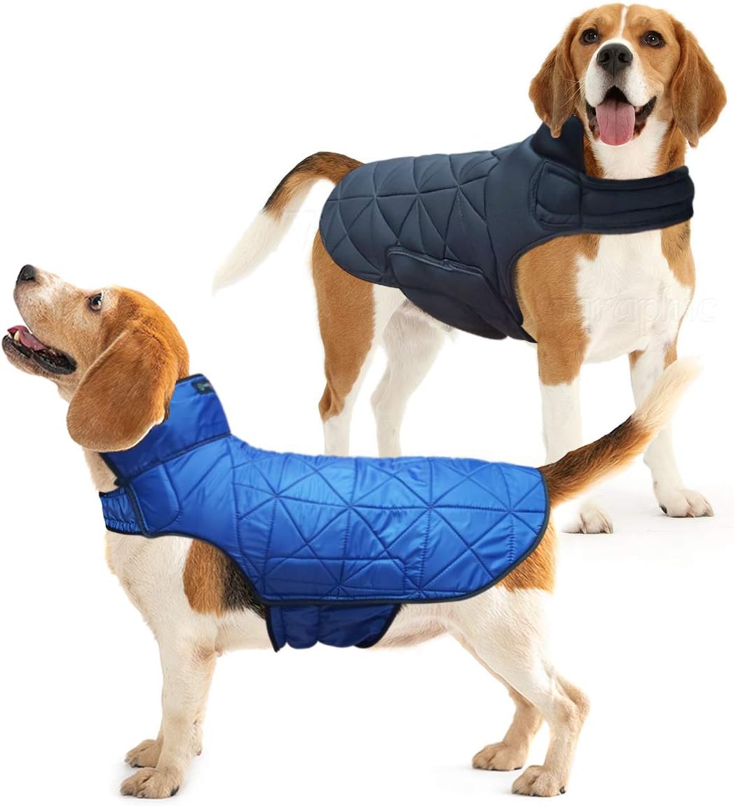 beagle puppy clothes
