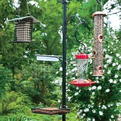 Gardman Ba01343 Complete Bird Feeding Station Kit With Four