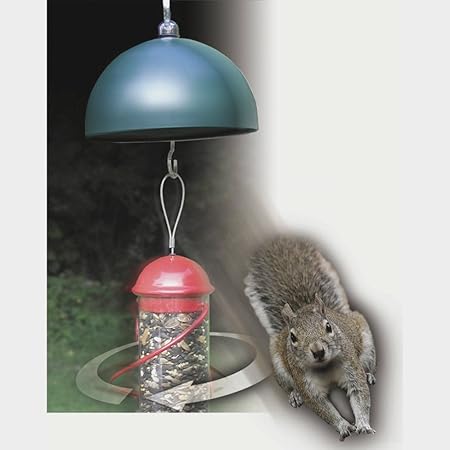 Amazon Com Twirl A Squirrel Baffle Wild Bird Feeder