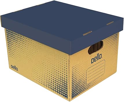 Caixa Organizadora Plastica Para Pasta Suspensa Dello 0323 X 0005 Caixa Organizadora Kraft Com 10 Pastas Suspensas Multicor Amazon Com Br