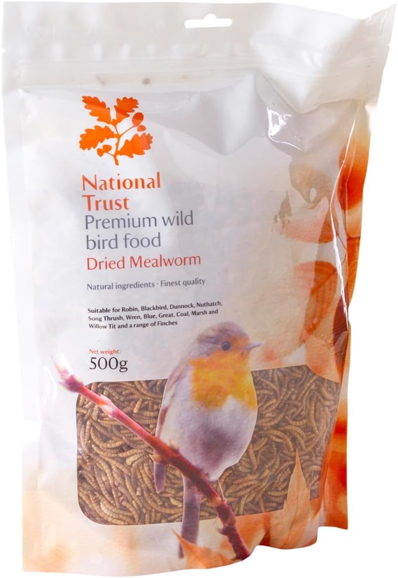 National Trust Wild Bird Food Premium Mealworms 500g Amazon.co.uk Pet