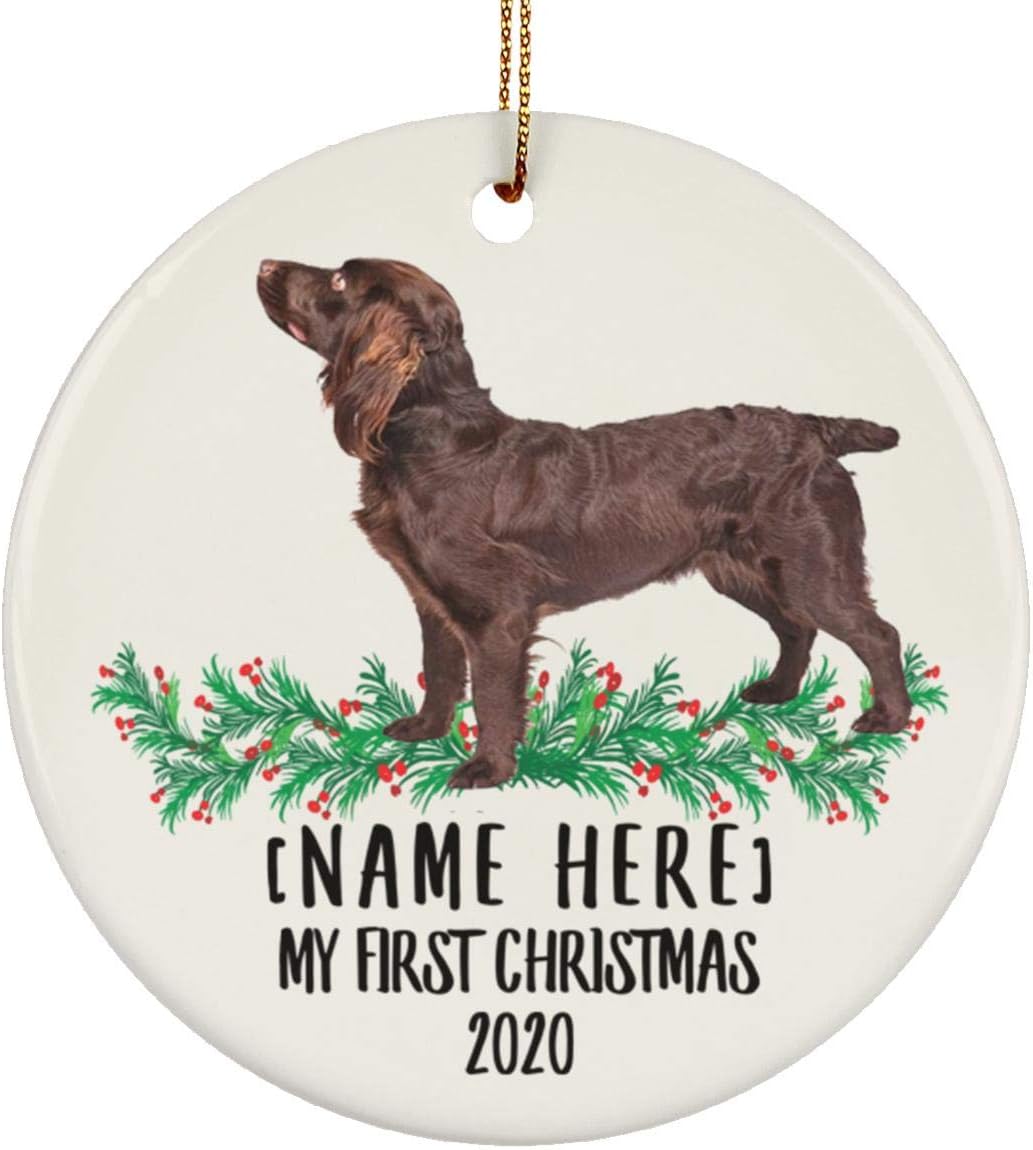 blonde boykin spaniel