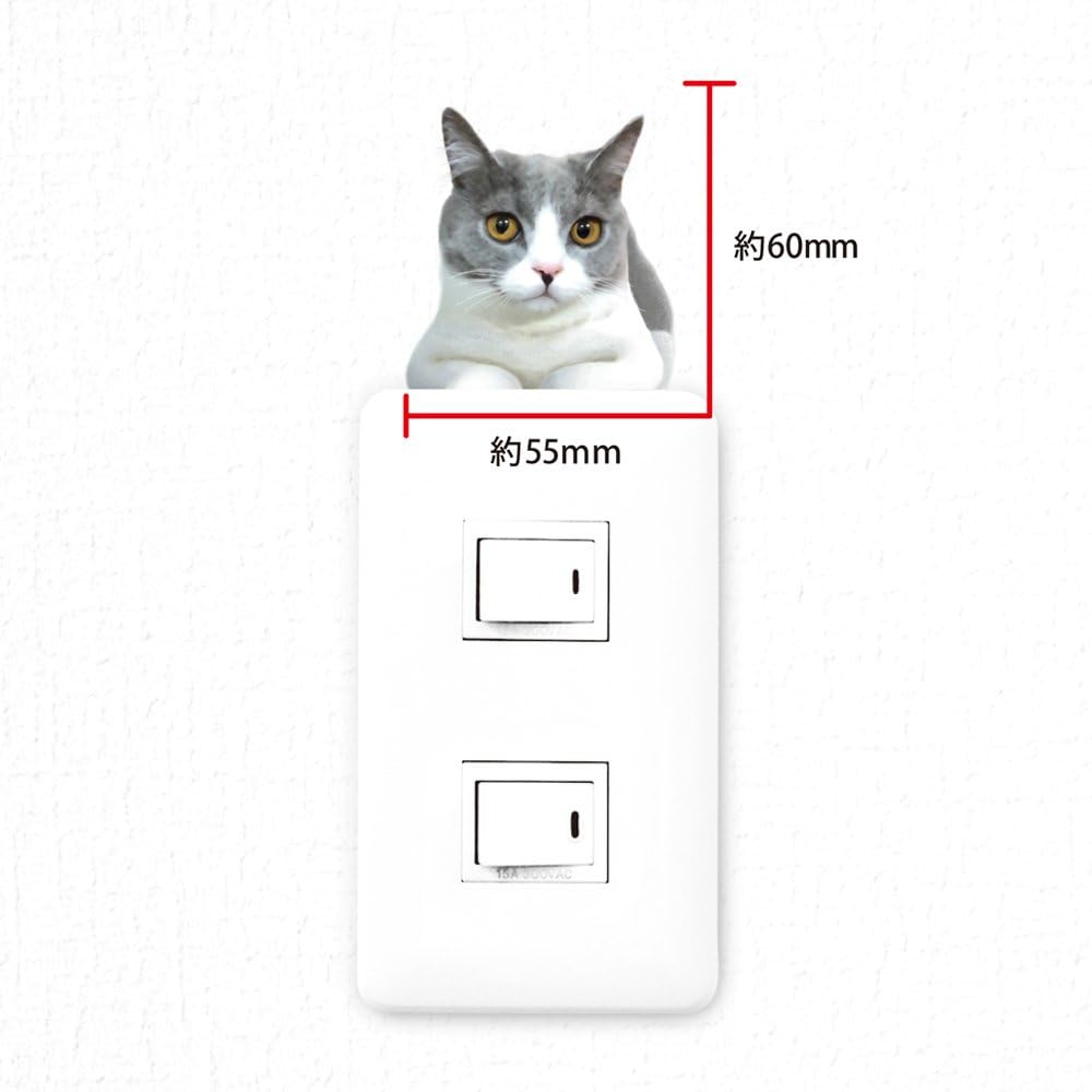 Amazon Co Jp ウォールステッカー Cat Life ねこ ブリティッシュショートヘア おもちゃ