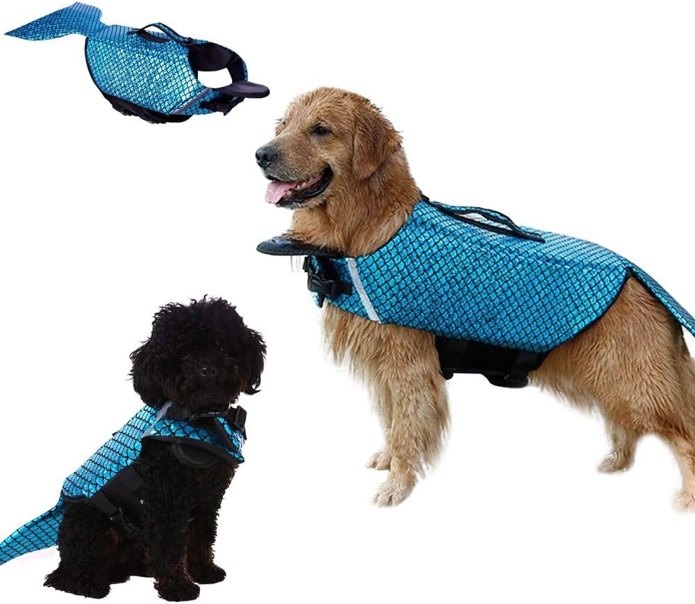 dog lifesaver jacket