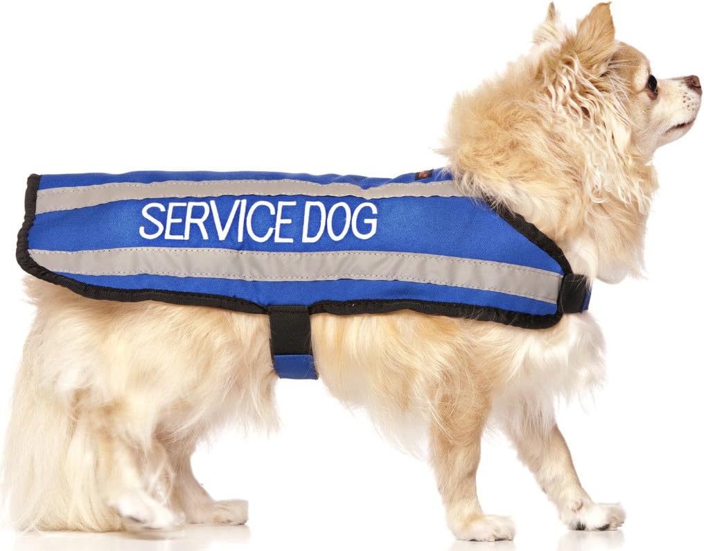 service dog clothes