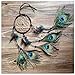Dremisland Circle-Shaped Dream Catcher with Feathers Wall Hanging Decoration Ornament for Car,Home,Bedroom (Peacock #1)