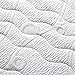Olee Sleep 10 inch Omega Hybrid Gel Infused Memory Foam and Pocket Spring Mattress  (King)