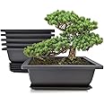 MUZHI 6PCS/Pack Retro Style Basin Larger Plastic Flower Pot Planters 9 Inch Bonsai Plant Bowl Nursery Pots Plastic Bonsai Training Pots Rectangle Large
