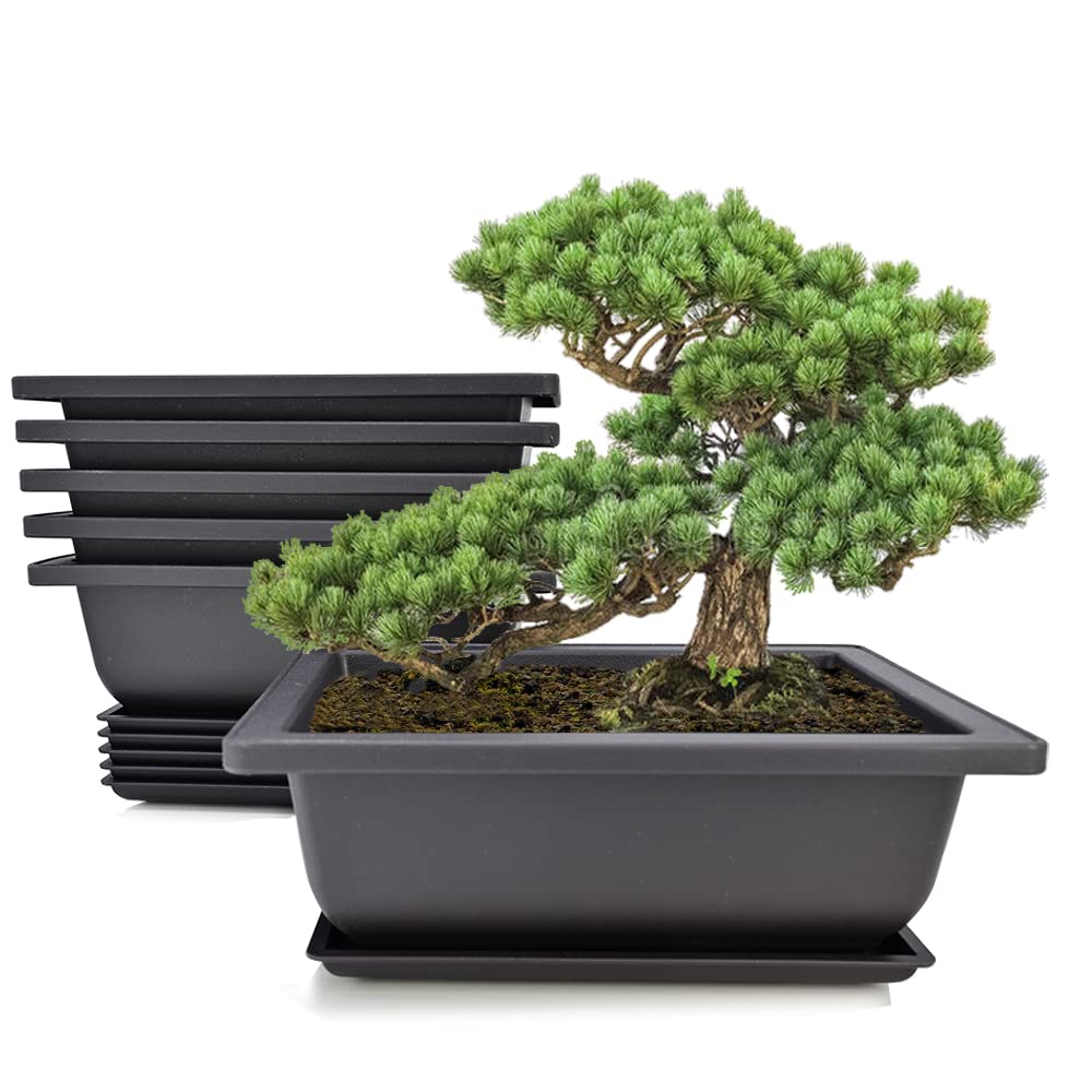 MUZHI 6PCS/Pack Retro Style Basin Larger Plastic Flower Pot Planters 9 Inch Bonsai Plant Bowl Nursery Pots Plastic Bonsai Training Pots Rectangle Large