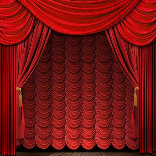 CapiSco 8X8FT Seamless Photography Background Photo Backdrop Red Stage Curtain Props for Studio TA09