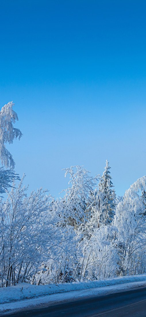 PeelitStickit Mural, Beautiful Nature Wall MuralsID-4223, vinyl