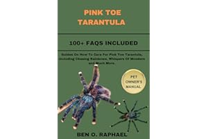 PINK TOE TARANTULA: Guides On How To Care For Pink Toe Tarantula, Including Chasing Rainbows, Whispers Of Wonders and Much More.