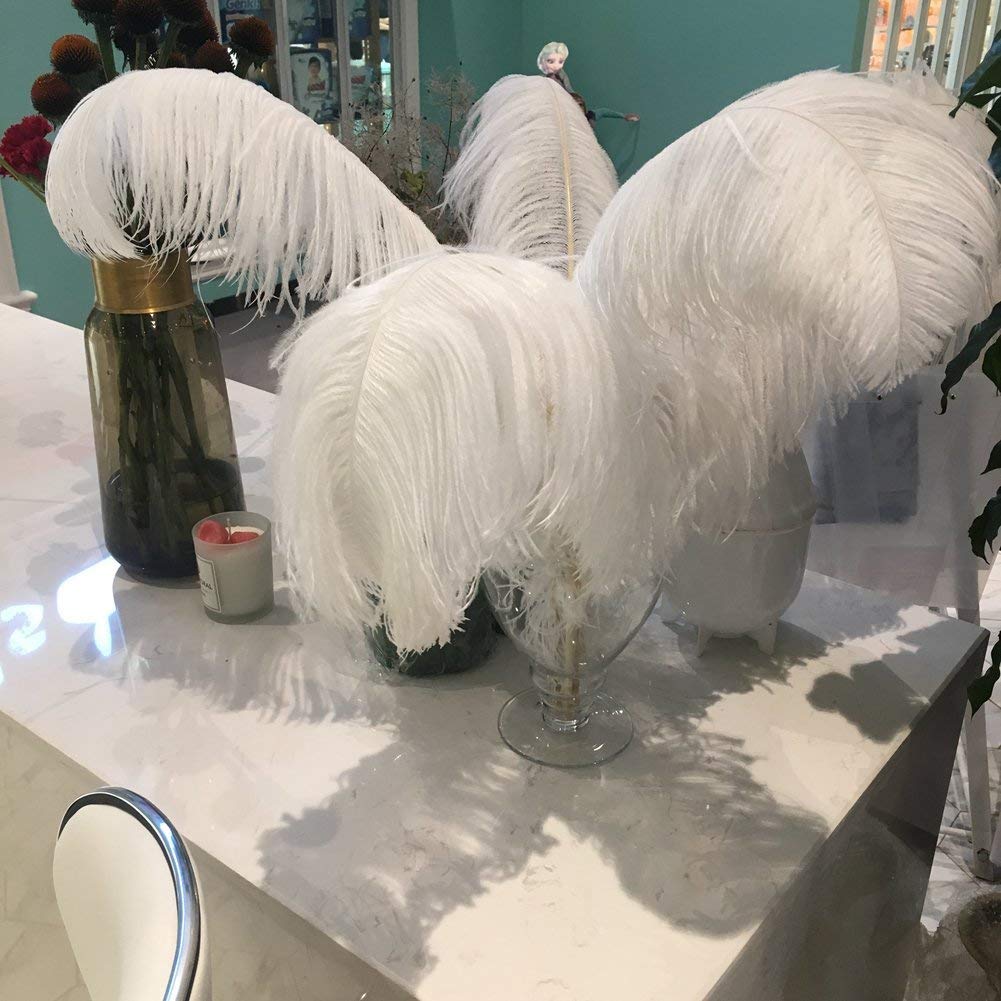Sowder 8-10inch(20-25cm) Ostrich Feathers Plume for Wedding Centerpieces Home Decoration Pack of 10pcs(white) — image 1