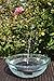 Solarrific G3033 Floating Solar Fountain for Bird Bath
