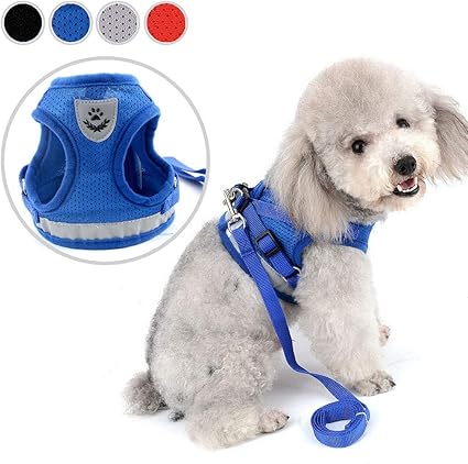 Zunea Harnais Pour Chien Pour Petit Chien Chat Sans Tirer Harnais Ajustable En Maille Filet Souple Rembourré Vest Harnais Laisse Avec Ensemble De
