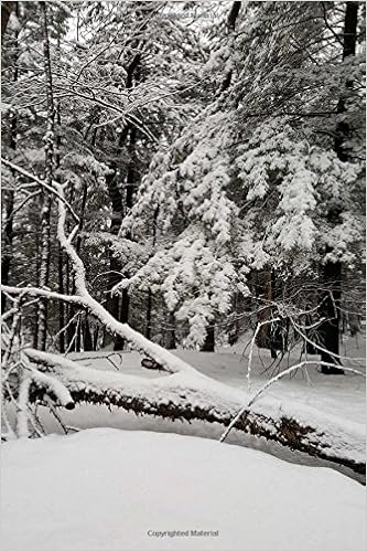 Journal Snowstorm Winter Day Photography Notebook Diary - 