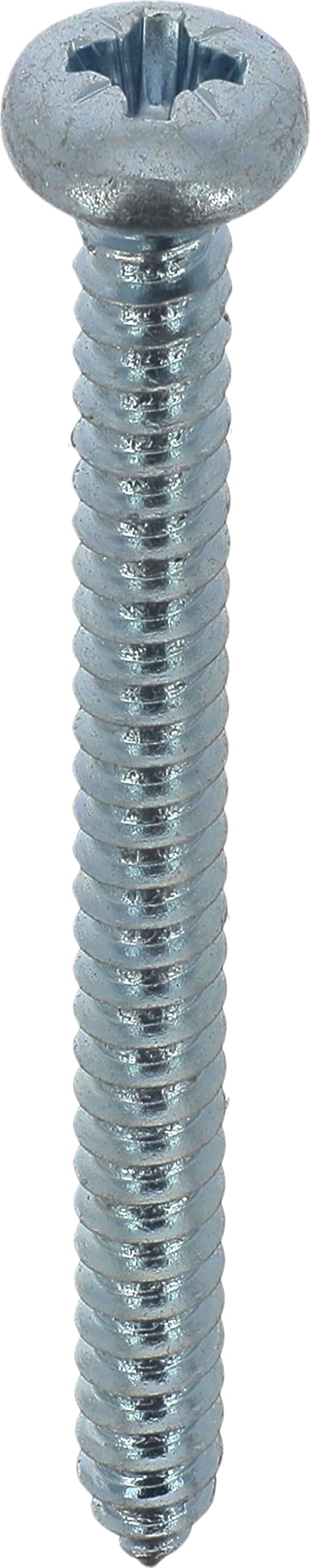 Restagraf - Sheet Metal Screws - Pozidrive Domed Cylindrical Head - White Zinc Plated Steel - Standard DIN 7981 - Body Mount - Ref 636 - Bag of 25