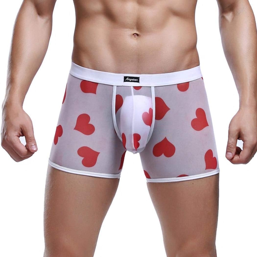 Men's Boxer Briefs, Soft Mesh Underpants Heart-shaped Print See Through Underwear (XL, White)
