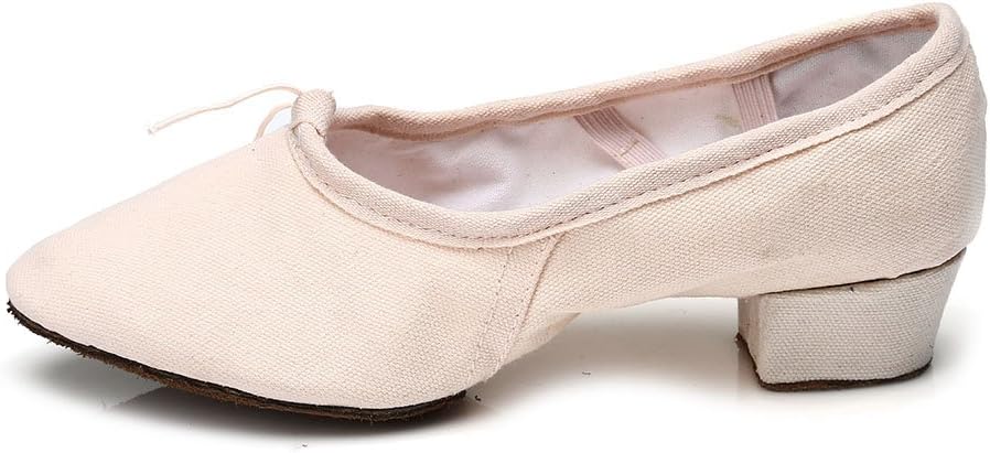 HIPPOSEUS Women's Latin Dance Shoes Ballroom Dance Practice Performance Shoes Model U101