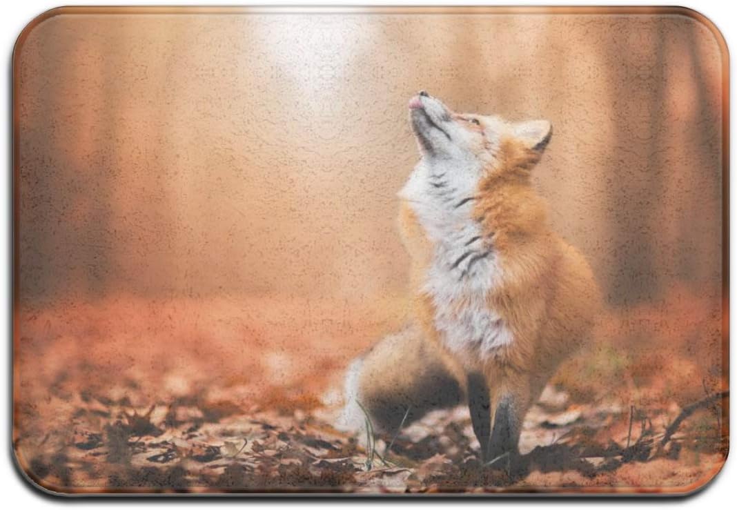 YangPa Autumn Fox - Alfombrillas de Goma para Puerta Delantera, Porche