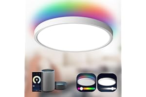 TALOYA Smart Ceiling Light Flush Mount LED WiFi,Compatible with Alexa Google Home,Dimmable Low Profile Ambient Light Fixture for Bedroom Living Room Hallway Kitchen Nursery,12 Inch,RGB