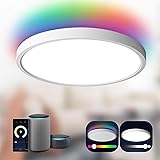 TALOYA Smart Ceiling Light Flush Mount LED