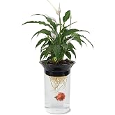 Penn-Plax (APON1) Aquaponic Planter and Aquarium for Betta Fish Tank Promotes Healthy Hydroponic Environment for Plants and Fish
