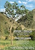 Trees and Bushes from the Sacred Valley of the Incas by 