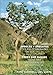 Trees and Bushes from the Sacred Valley of the Incas by 