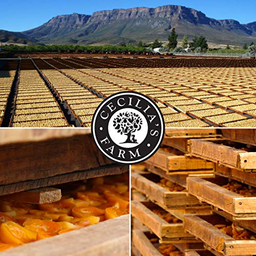 Cecilia's Farm Apricot Fruit Leathers (Pack of 36) 0.65oz (18g