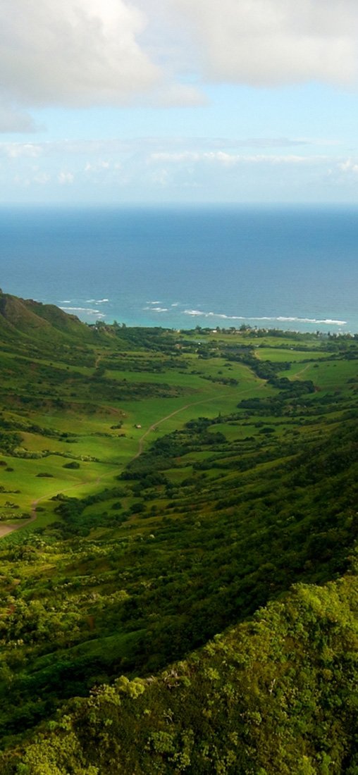 PeelitStickit, Beautiful Nature Wall Murals, ID-3217, vinyl