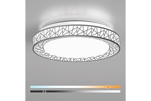 Lightania 18 Inch Flush Mount Ceiling Light, Modern Brushed Nickel LED Ceiling Light Fixture, 35W 3500LM 2700-6500K Adjustable, Dimmable Ceiling Lights for Bedroom, Kitchen, Hallway, Bathroom, ETL