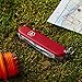 Victorinox Swiss Army Pocket Knife