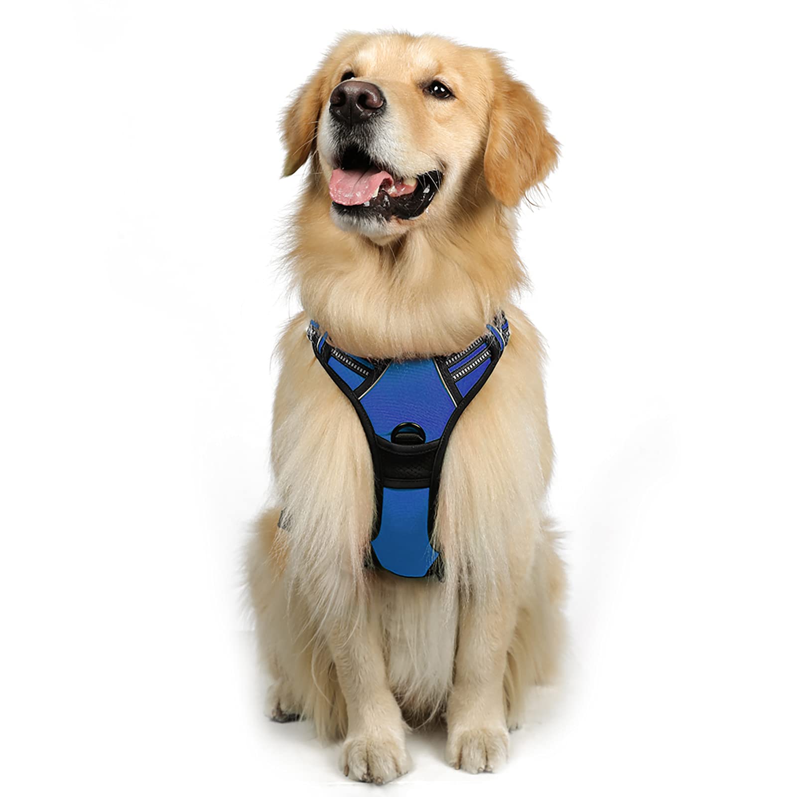 rabbitgoo Dog Harness Large Dog No Pull Pet Harness with 2 Leash Clips, Adjustable Soft Padded Pet Vest, Reflective No-Choke with Easy Control Handle for Training or Walking, Blue, L